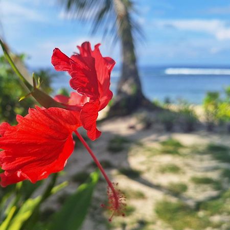 Bamboo Surf Beach San Isidro  Екстериор снимка