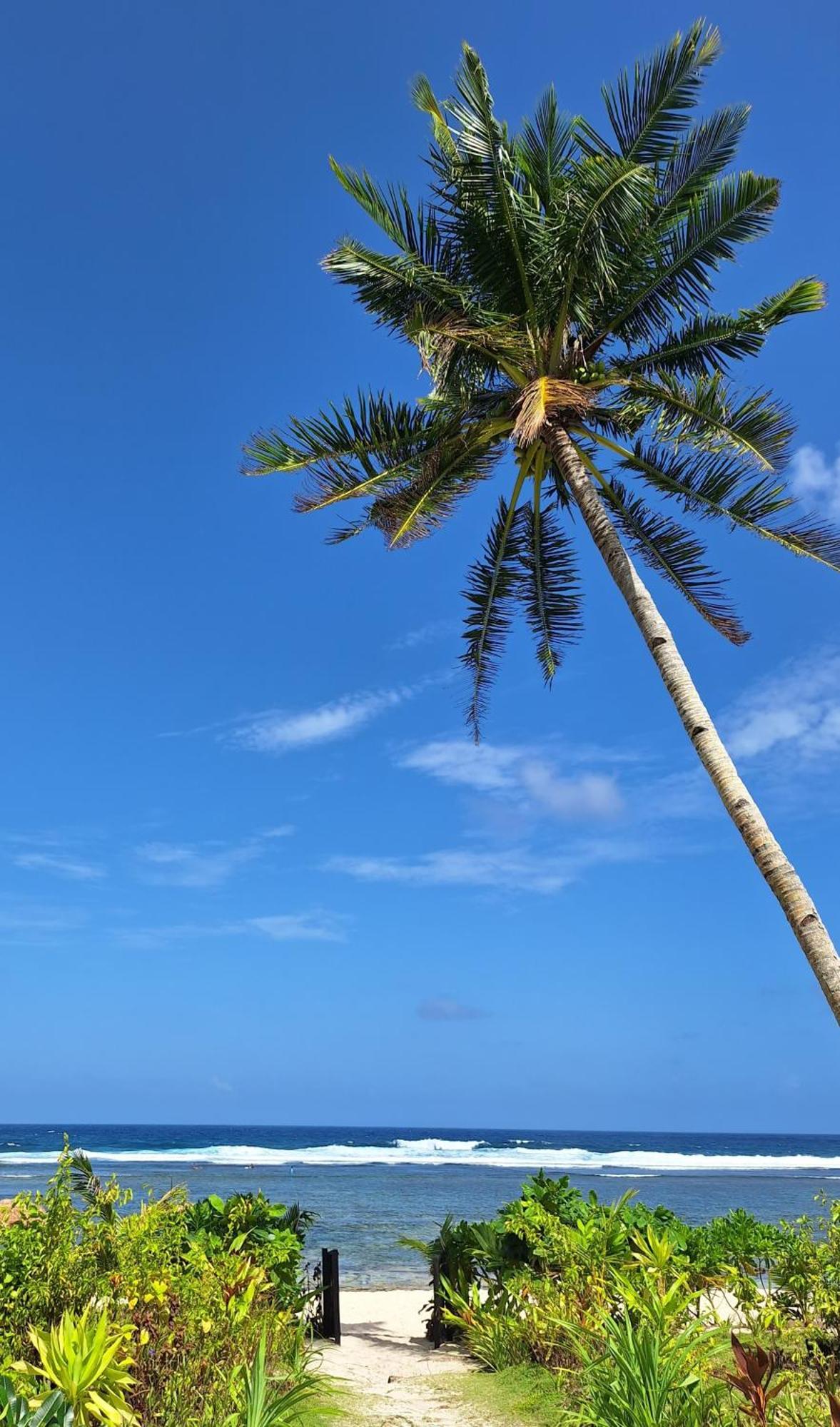 Bamboo Surf Beach San Isidro  Екстериор снимка