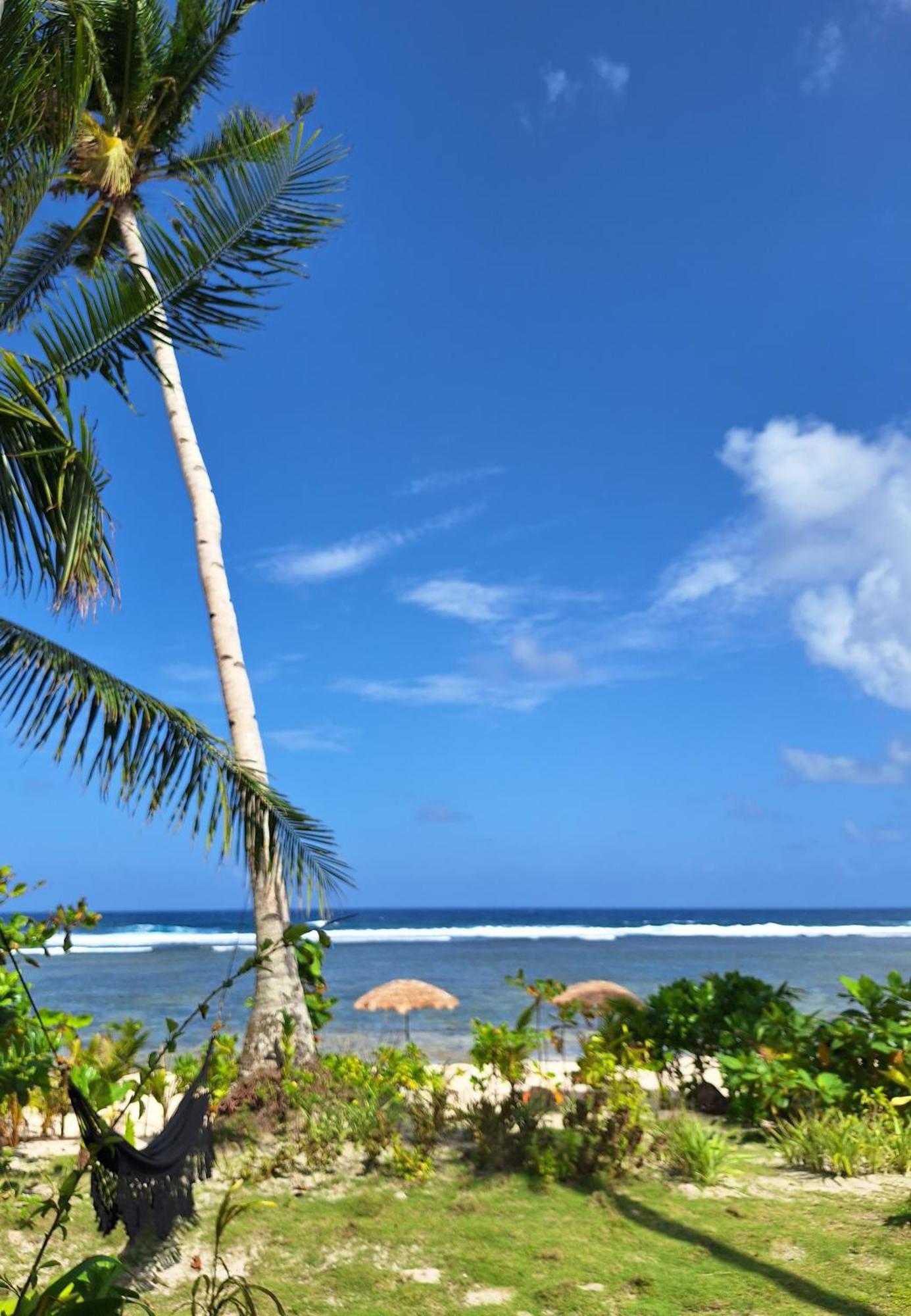 Bamboo Surf Beach San Isidro  Екстериор снимка